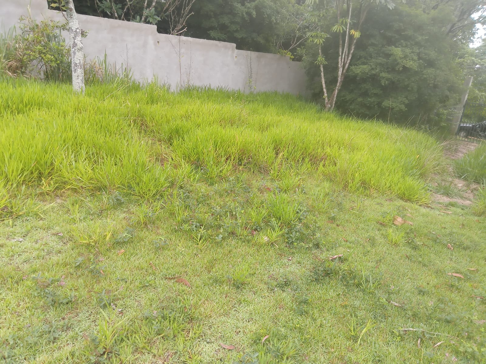 Terreno em Boituva