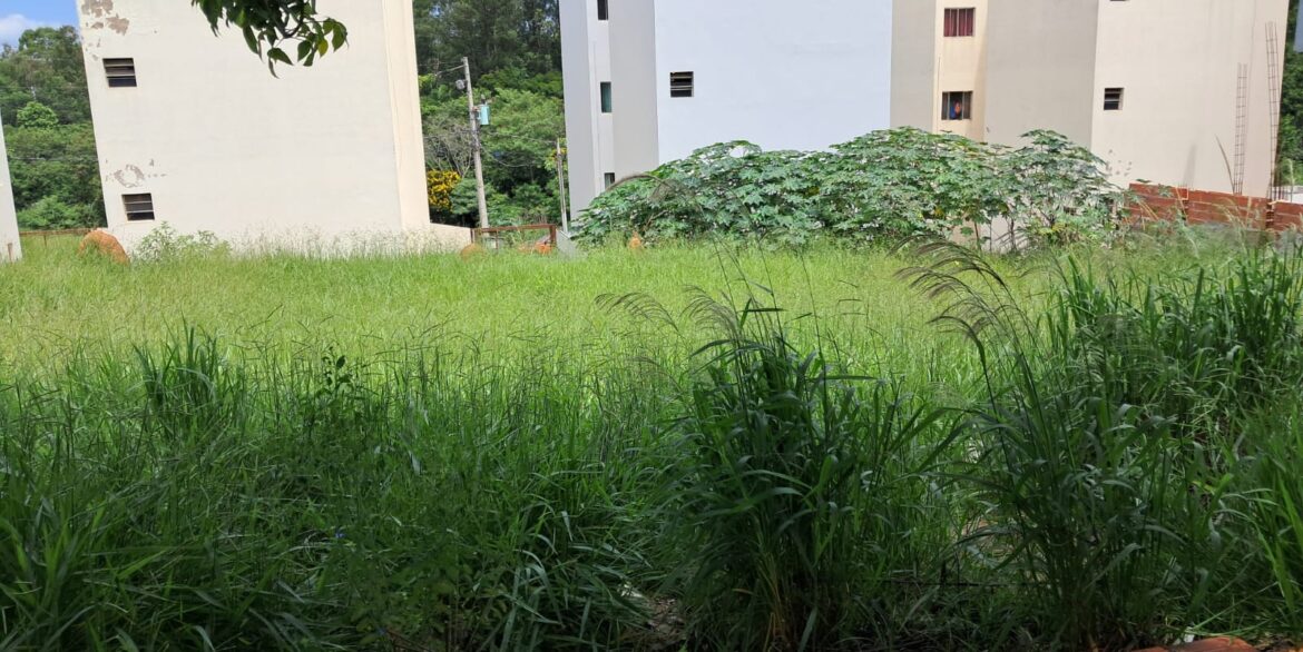 WhatsApp Image 2026-02-09 at 09.52.39 (1)