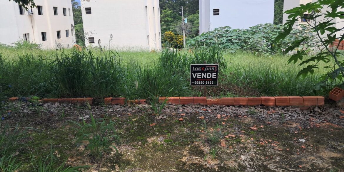 WhatsApp Image 2026-02-09 at 09.52.39 (3)