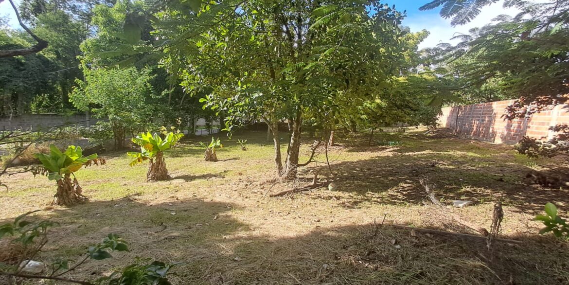 WhatsApp Image 2026-02-09 at 09.56.02