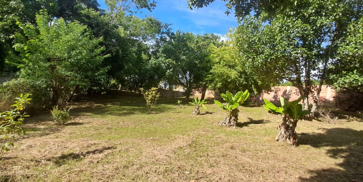 WhatsApp Image 2026-02-09 at 09.56.03