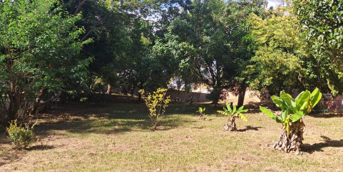 WhatsApp Image 2026-02-09 at 09.56.04 (1)