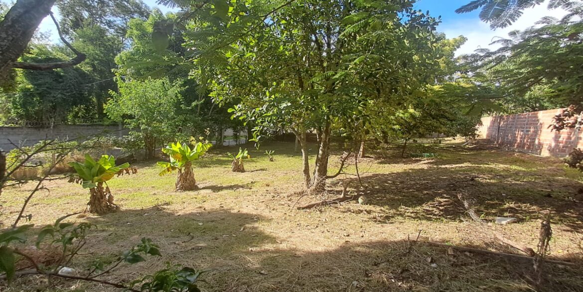 WhatsApp Image 2026-02-09 at 09.56.04